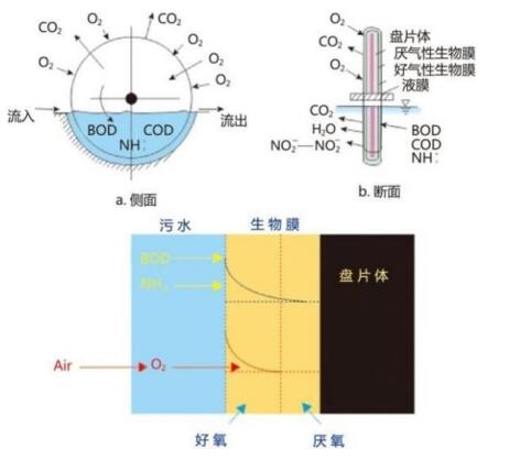 QQ截图20210323170952.jpg